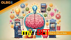 Statistics my7bet